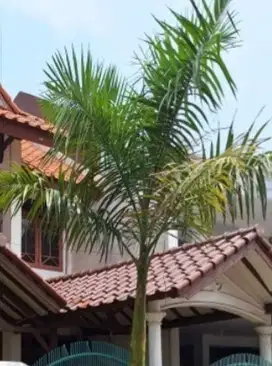 Dijual rumah Dekat Taman Buaran Jakarta Timur