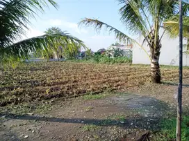 Investasi yang menguntungkan, Tanah Kavling sisa 1 Unit Area Bogor