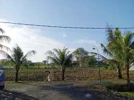 Kavling Dekat STIT INSAN KAMIL BOGOR, Hanya 2 Jt an / m2