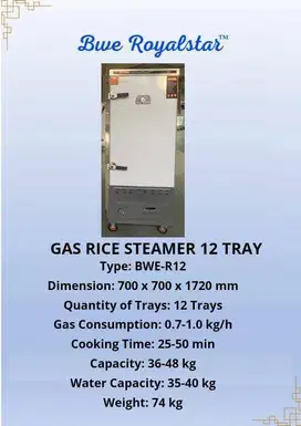 BWE GAS RICE STEAMER 12 TRAY