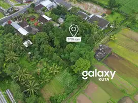 TANAH VIEW SAWAH DI LUWUS BATURITI BEDUGUL TABANAN, BALI