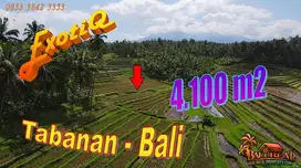 Affordable 4,100 sqm Freehold Land for Sale in Penebel Tabanan