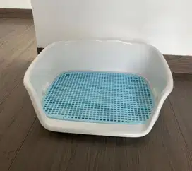Potty training anabul/ Dog Toilet