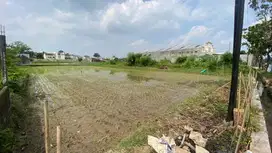 Tanah ringroad barat dekat pintu tol jogja solo (luas 1090)