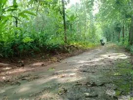 Dijual Tanah Pekarangan
