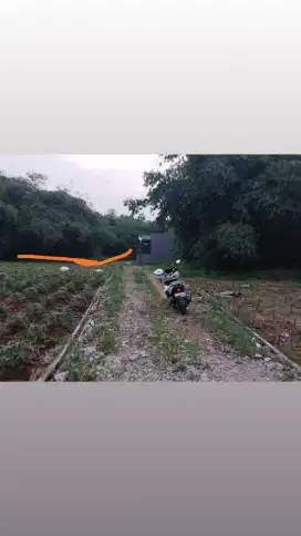 DI Jual Tanah 3000m² boleh ecer