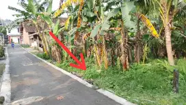 TANAH MURAH PINGGIR JALAN DI PEMUKIMAN WARGA