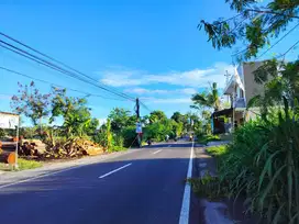 Jual Tanah Jogja, Pinggir Jalan Raya Pandowoharjo