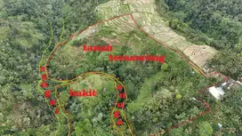 Tanah murah payangan ubud
