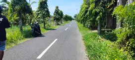 jual tanah dekat pantai yehgangga lt 27 are hrg 500 jt/are