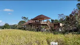 Tanah kavling kebun durian penebel Tabanan