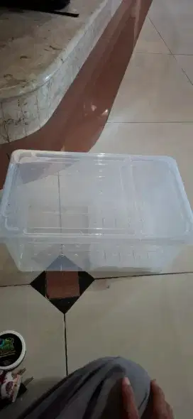Jual kandang box kura & reptil amphibi (all in paket)
