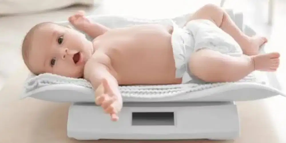 Pengasuh anak balita