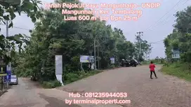 Tanah Pojok  SHM Jl Raya  Mangunharjo - UNDIP Tembalang Semarang Timur