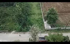 Dijual Tanah Pinggir Jalan di Dangdang, Cisauk - Tangerang