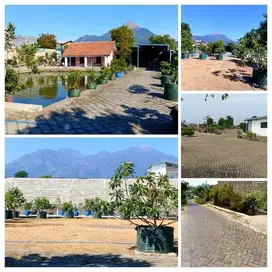 Tanah bangunan murah candiwates prigen