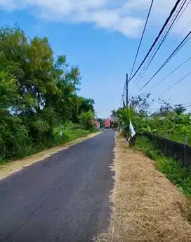 Tanah Murah Raya Kelating Tabanan Bali