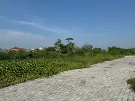 Tanah Murah Sleman Samping RSA UGM Jogja, SHM P