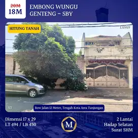 TURUN HARGA! EMBONG WUNGU SURABAYA PUSAT TENGAH KOTA DKT TUNJUNGAN TP