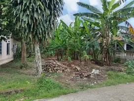 jual tanah di gunung Sindur.