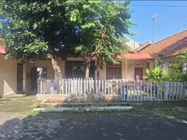 ( COCOK UNTUK KOS ) RUMAH LAMA DI JL PLEBURAN RAYA SEMARANG SELATAN