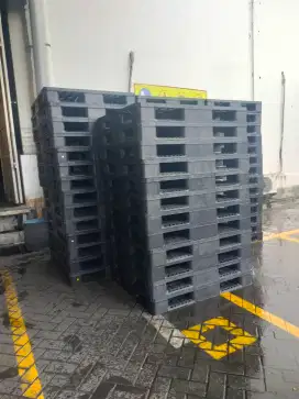 pallet plastik second bagus