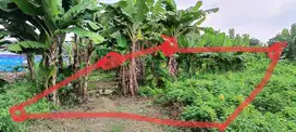 Tanah pekarangan SHM 600 mtr² di Kapohan, Ngringo, Karanganyar