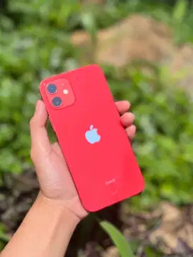 iphone 12 64 red ibox