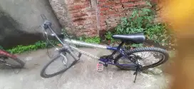 Sepeda mtb poligon