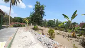 Tanah  Murah Balecatur Gamping Dekat Jl. Wates