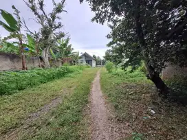 DIJUAL CEPAT TANAH RAWA KALONG  GUNUNG SINDUR