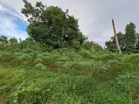 DIJUAL CEPAT TANAH  DIBAWAH NJOP GUNUNG SINDUR
