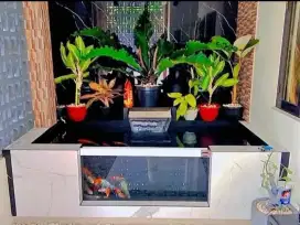 Kolam ikan minimalis