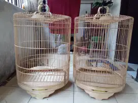 Sangkar burung murai no 2 mentahan