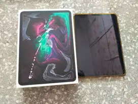 ipad pro 11ince 256gb