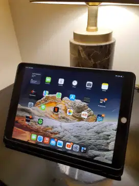 Ipad Pro 64 GB Wifi Mulus