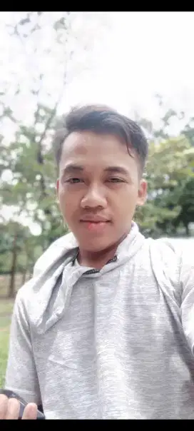 Supir pribadi (driver)