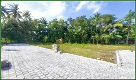 Tanah Murah di Pengasih, Dekat Bandara YIA Untuk Villa