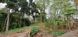 Tanah Murah di Cileungsi! 1,6 Ha Hanya Rp 7,2 Miliar