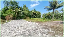 Tanah di Tawangsari, Cocok untuk Rumah