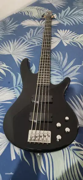 Ibanez GSR 205 5 String