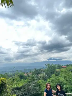 Dicari tukang renovasi