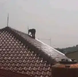 Ahli jasa pasang anti penangkal petir Cibitung Cibarusah Cikarang