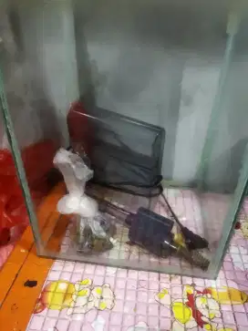 Aquarium minimalis