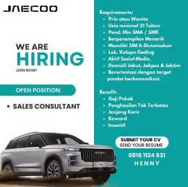 Sales Consultant Mobil