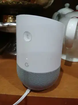 Google Home Wifi Smart Home Speaker
