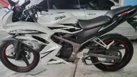 Ninja RR Istimewa