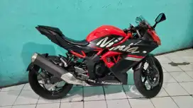 Kawasaki Ninja 250 mono 2019