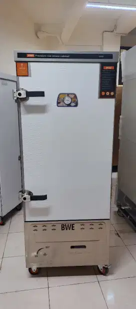 Premium rice steam cabinet