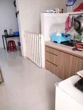 Ruko Taman Palem Lestari (Ukuran 4,5x12,5 m)